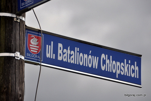 ulica_batalionow_chlopskich.JPG